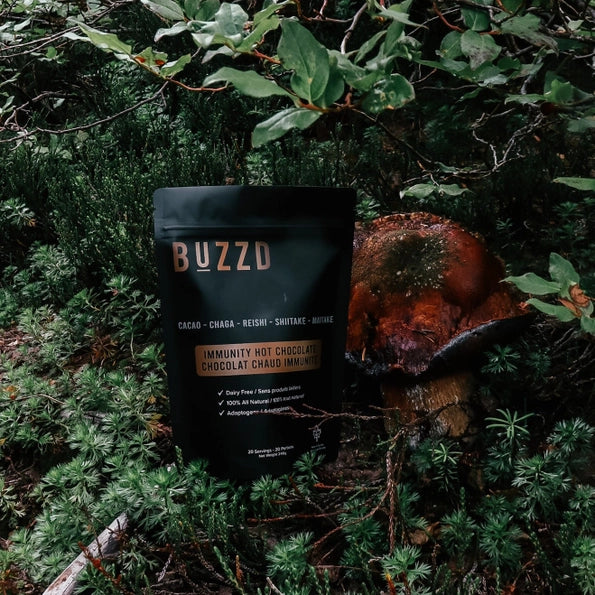BUZZD Immunity Hot Chocolate